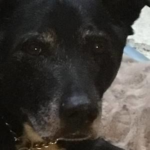 Meet your Posher, Patty